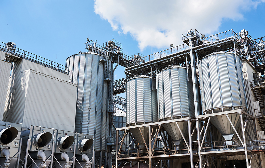 Fermentation Process Development and Optimization